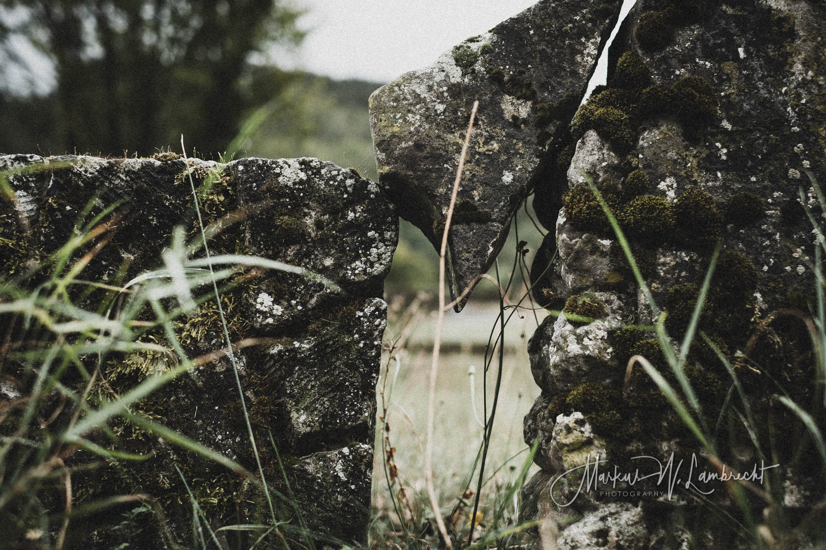 Eimelrod, Jüdischer Friedhof